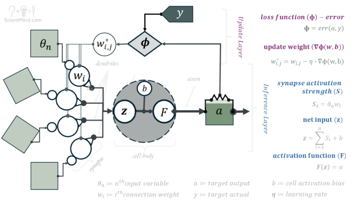 Perceptron